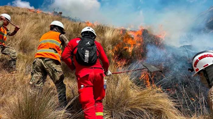 Ayacucho: COER registra 18 incendios forestales y 322 hectáreas de vegetación afectadas